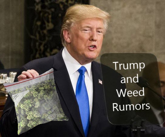 TRUMP ON MARIJUANA LEGALIZATION