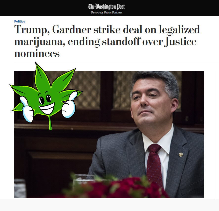 trump to legalize cannabis