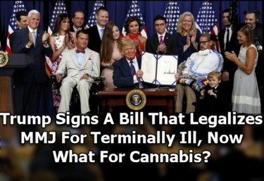 TRUMP SIGN MARIJUANA LAW TERMIANLLY ILL