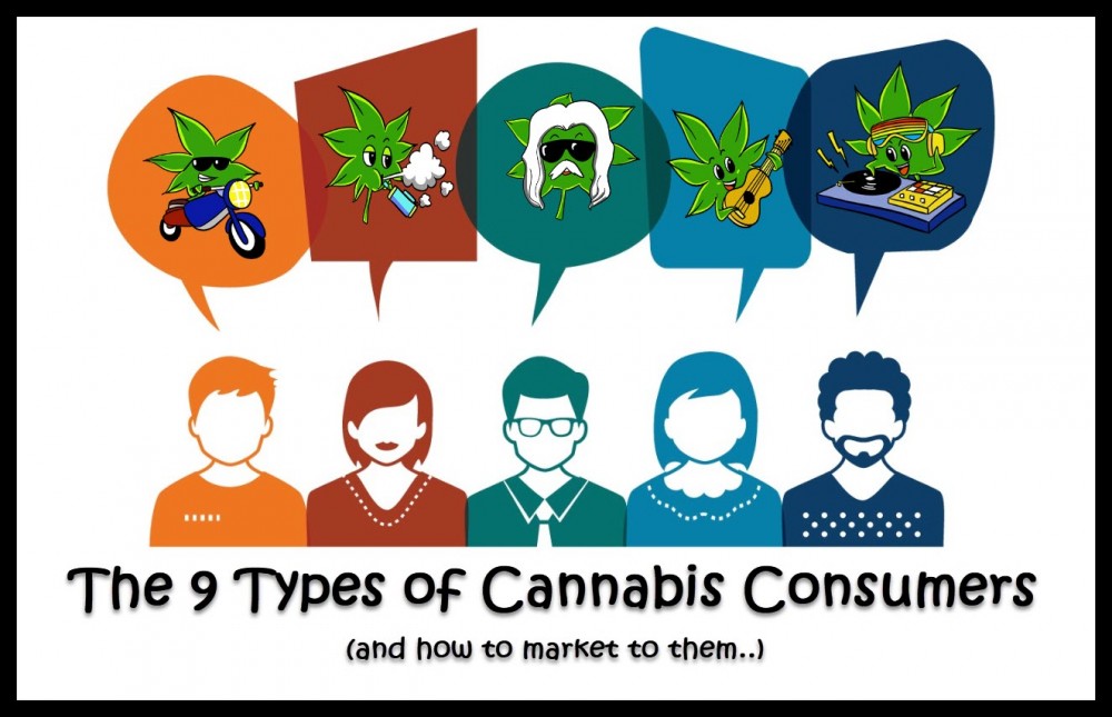 TYPES OF MARIJUANA USERS