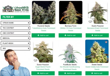the vault UK cannabis seeds
