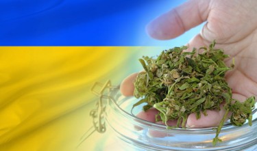 UKRAINE MEDICAL MARIJUANA