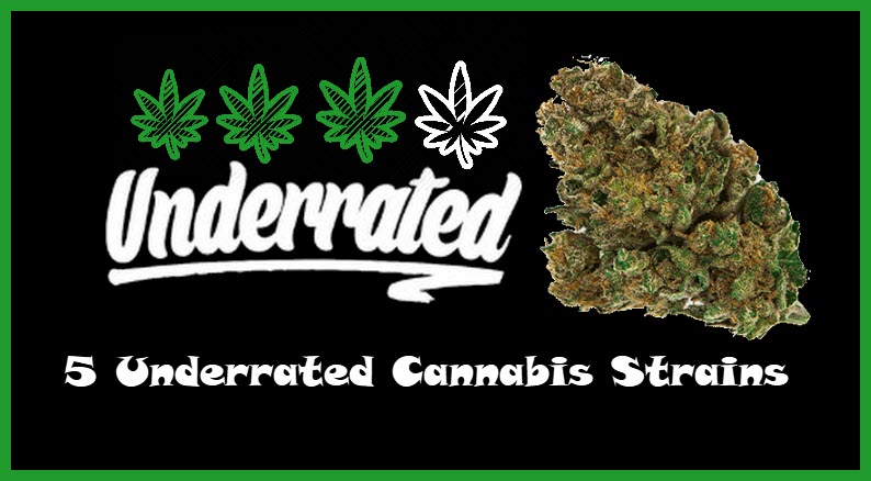 underrated cannabis strains