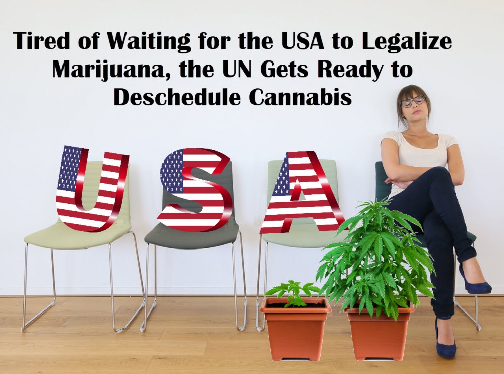 un deschedules cannabis