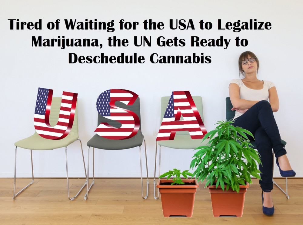 UN DESCHEDULES MARIJUANA NOT WAITING FOR US