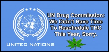 The UN on thc