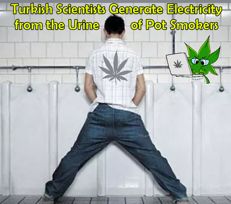 thc in urine for electricity