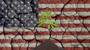 us cannabis legalization