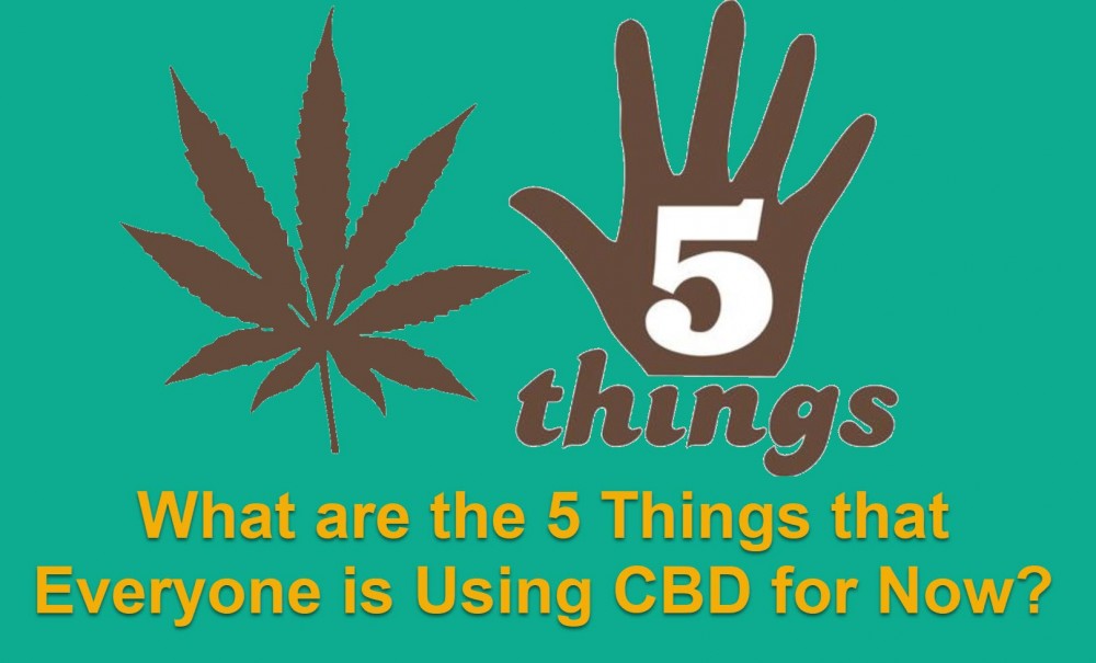 THINGS PEOPLE USE CBD FOR