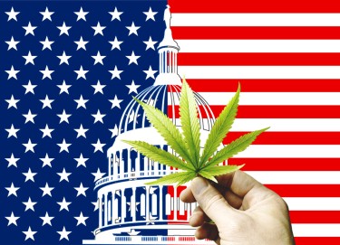 us federal cannabis policy