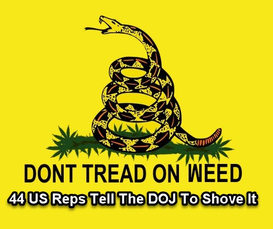 US REPS TELL DOJ TO SHOVE IT