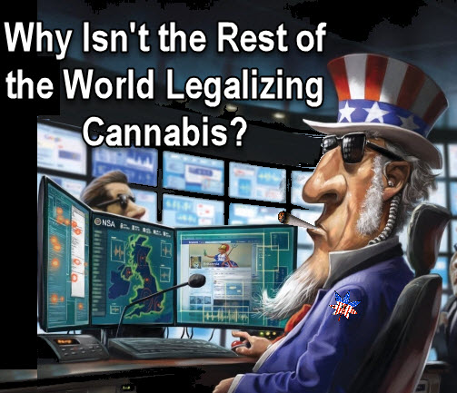 us influence on cannabis around the world