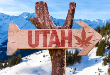 CANNABIS CASH CROP UTAH