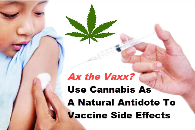 VACCINE SIDE EFFECTS AND MARIJUANA