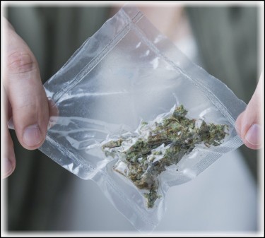 vacuum sealing cannabis