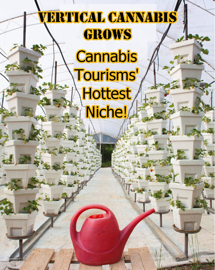 vertical grow cannabis tourism