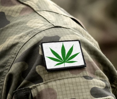 Veterans who use marijuana for PTSD