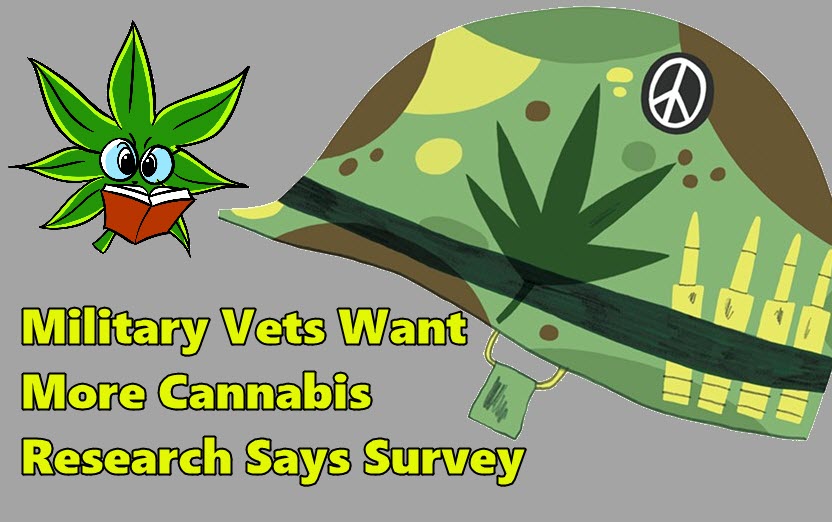 cannabis for veterans