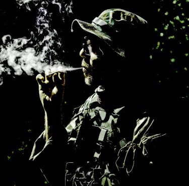 veterans using medical marijuana