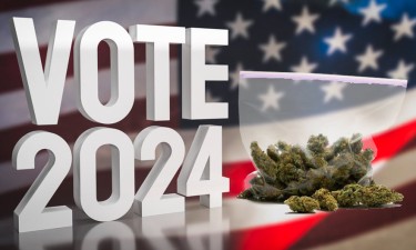 vote cannabis in 2024
