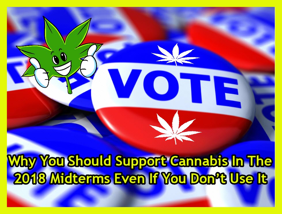 MARIJUANA VOTE