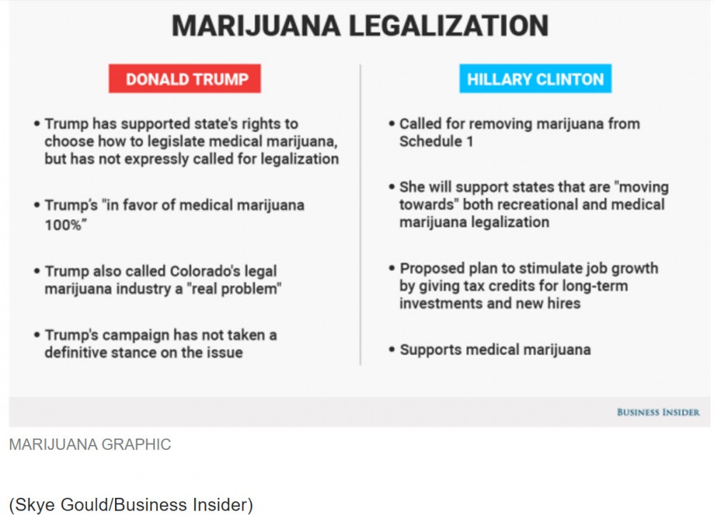 VOTERS ON MARIJUANA