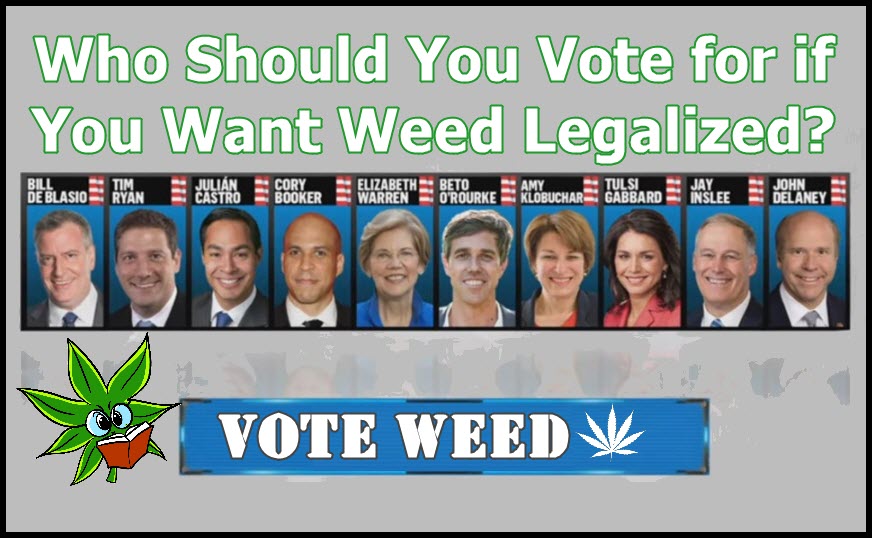 vote for weed candidate