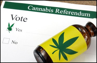 voting on marijuana legalization