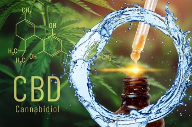 IS CBD WATER SOLUBLE