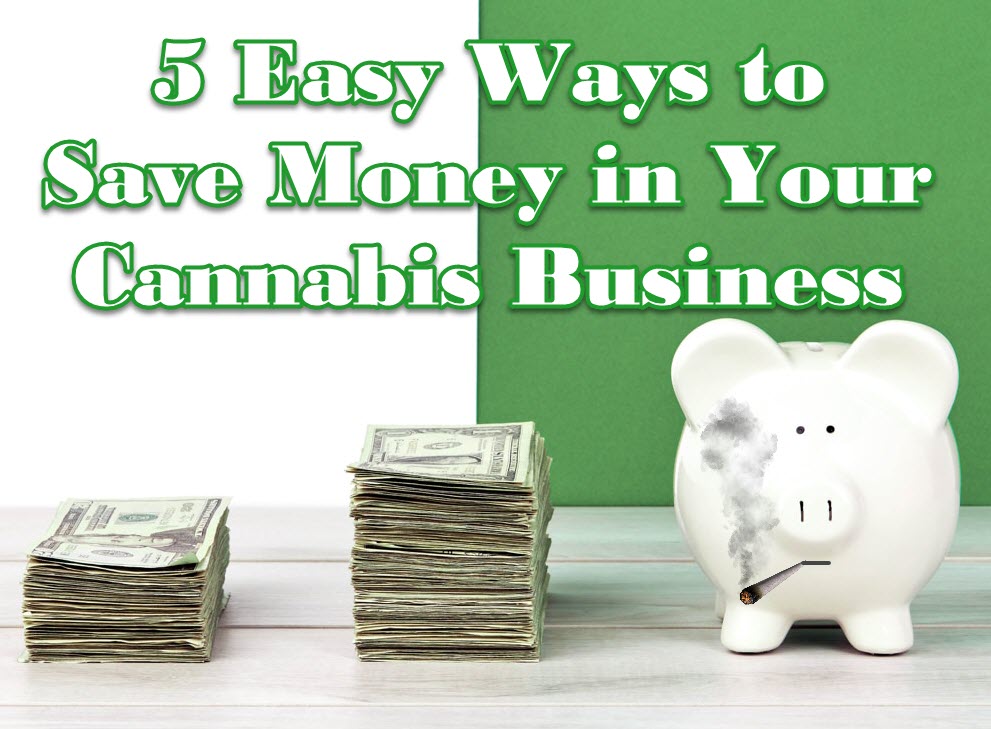 5 WAYS TO SAVE MONEY IN CANNABIS
