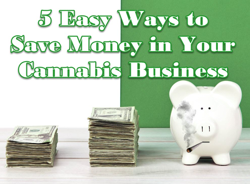 CANNABIS BUSINESS SAVING TIPS