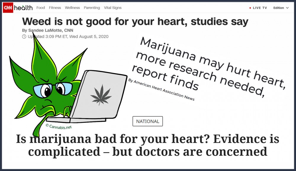 marijuana heart health good or bad