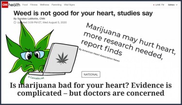 WEED FOR HEART ATTACKS OR BAD HEADLINES