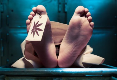 marijuana in autopsy report