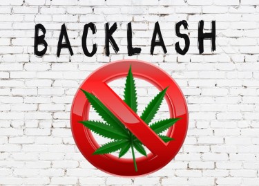 weed backlash by voters