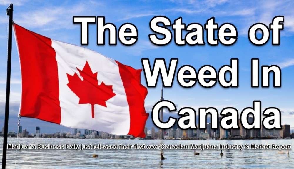 STATE OF WEED IN CANADA