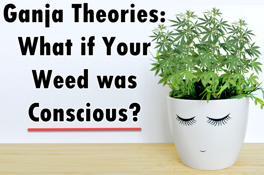 is your weed conscious