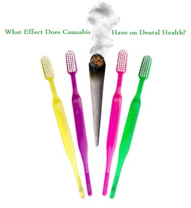 CANNABIS AND DENTAL HEALTH