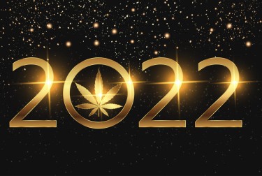 weed in 2022 legalized