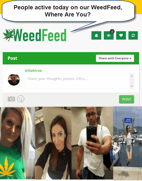 WEED SOCIAL NETWORK WEEDFEED