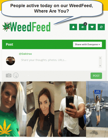 MEETING MARIJUANA PEOPLE ONLINE