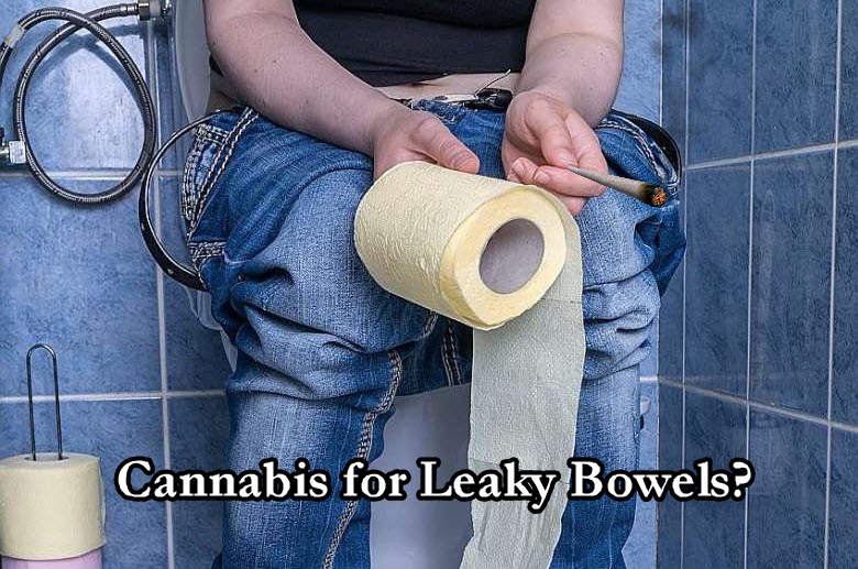 CANNABIS AND LEAKY BOWEL SYNDROME