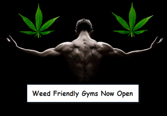 CANNABIS GYMS