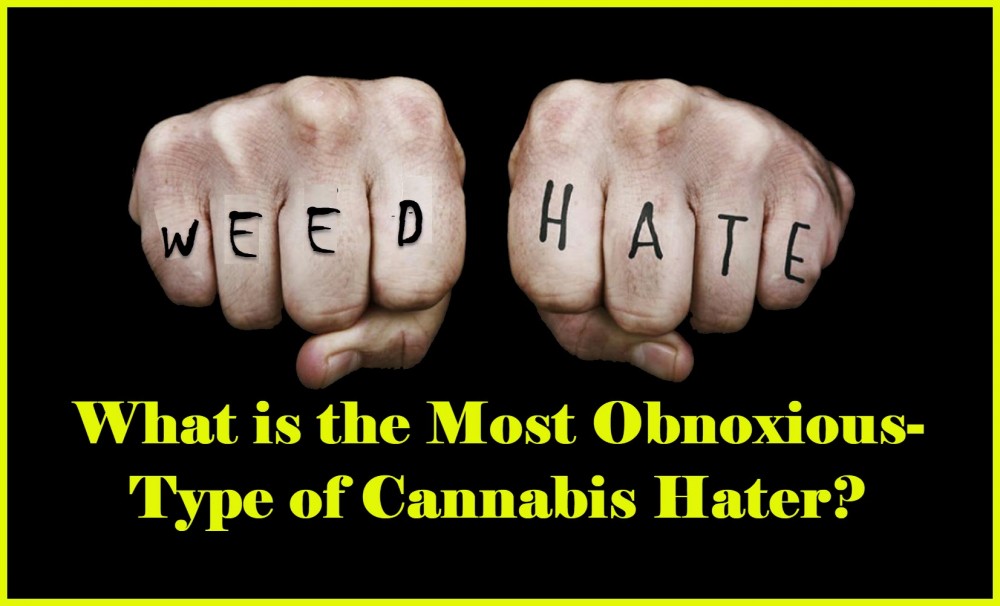 WORST TYPE OF CANNABIS CRITICS