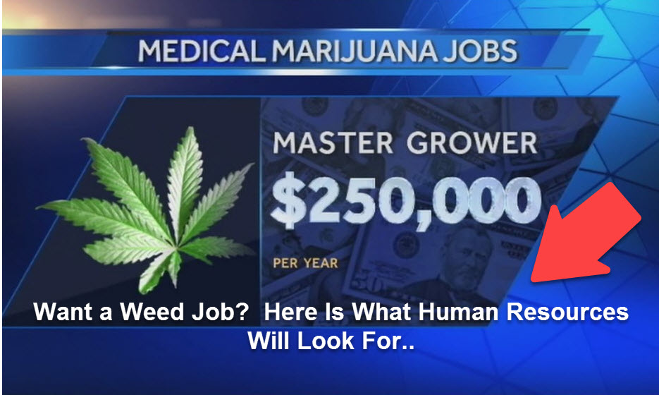 MARIJUANA JOBS