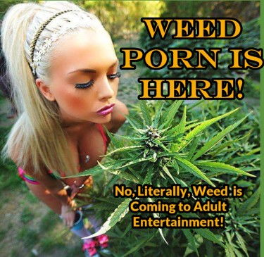 WEED IN PORN FILM
