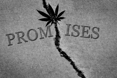 cannabis weed promises