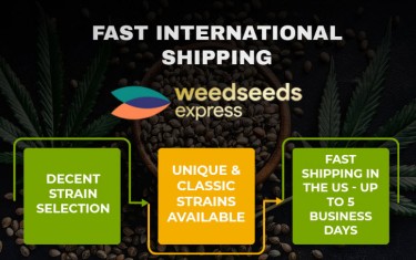 weed seed express cannabis seeds