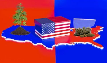 west coast cannabis on the east coast