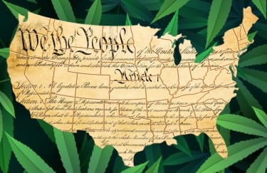 we the people love cannabis 